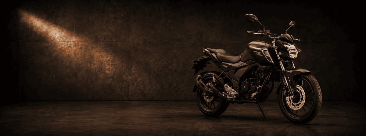 FZ 25
