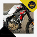 Moto Torque Hero XPulse 210 Crash Guard Titan X
